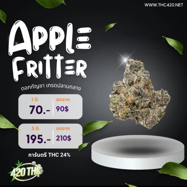 Apple Fritter-Mid Grade 3