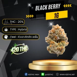 Black berry