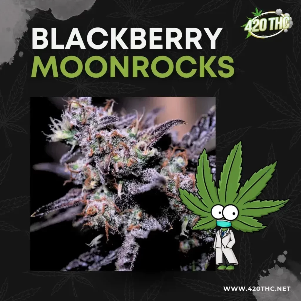 Blackberry Moonrocks