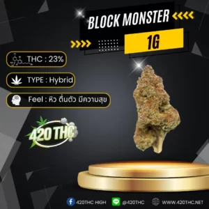 Block Monster