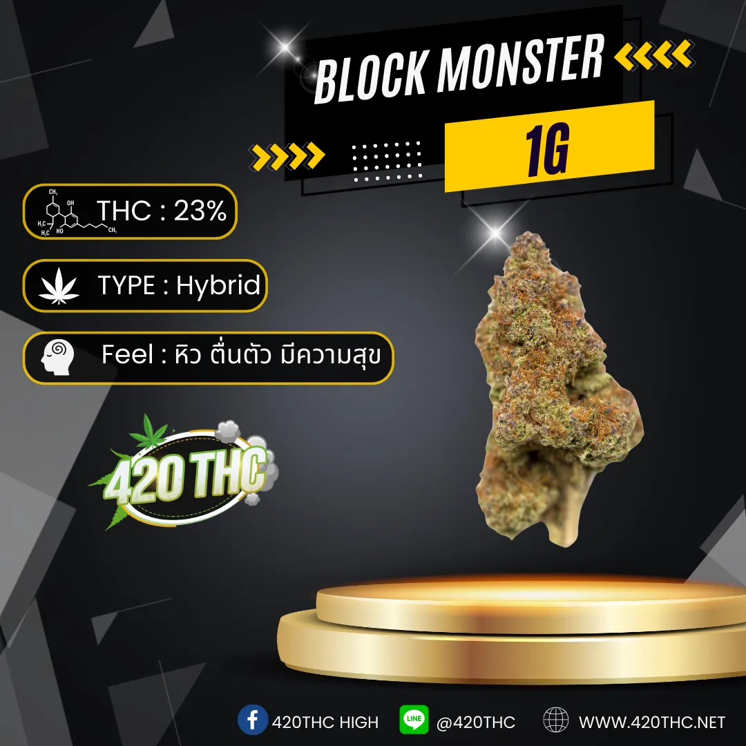 Block Monster