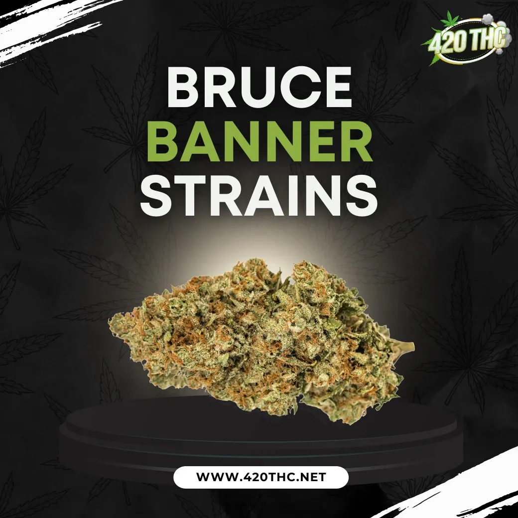 Bruce banner strains