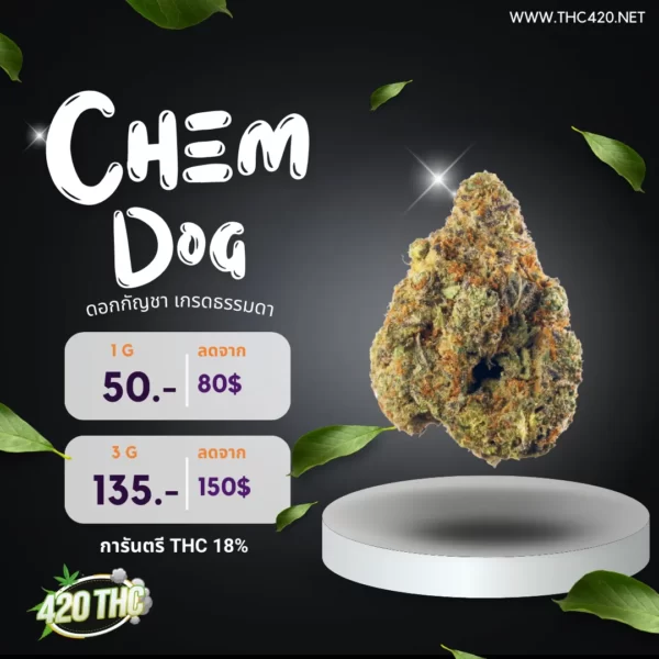 Chem Dog 3