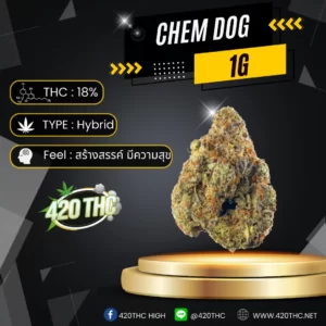 Chem Dog