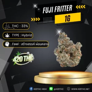 Fuji Fritter