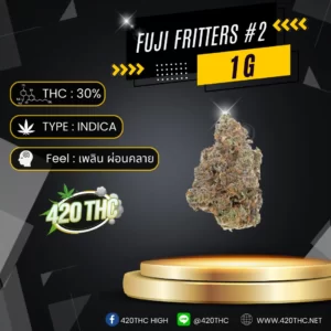 Fuji Fritters-Exotic Grade