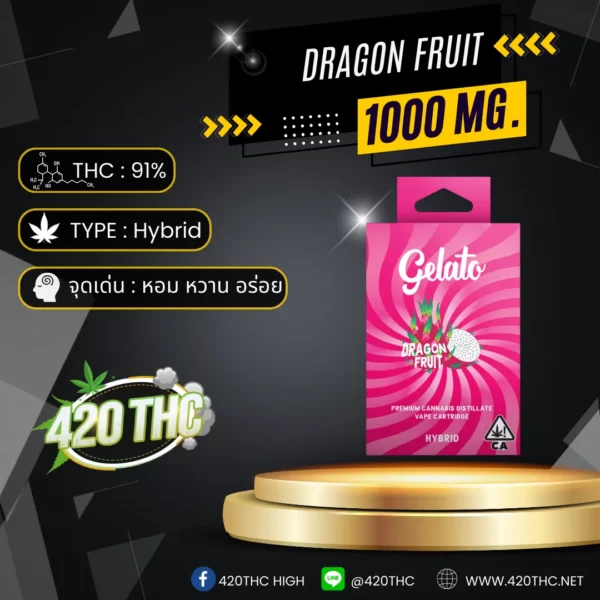 GELATO Premium THC oil Flavorful Dragon Fruit