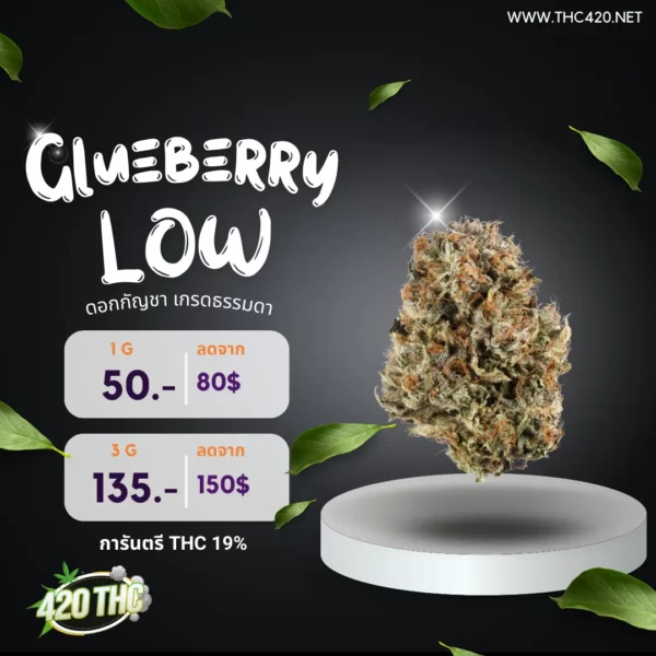 Glueberry 3