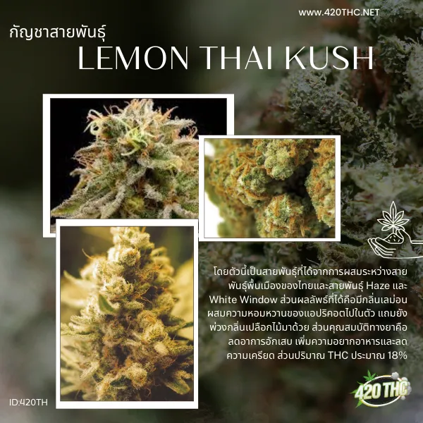 Lemon Thai Kush