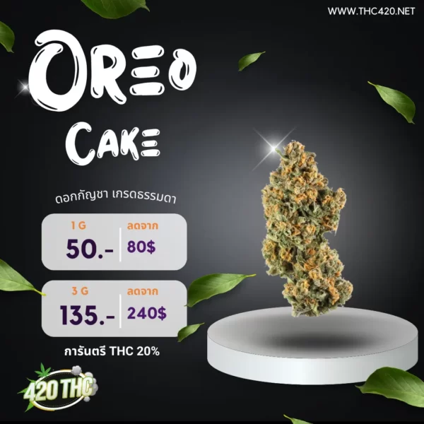 Oreo Cake 3