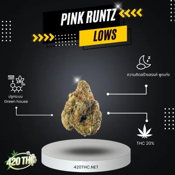 Pink Runtz 2