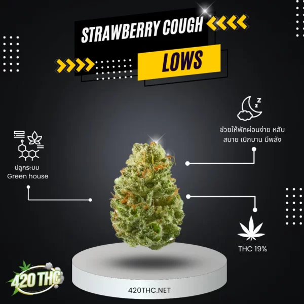 Strawberry Cough 2