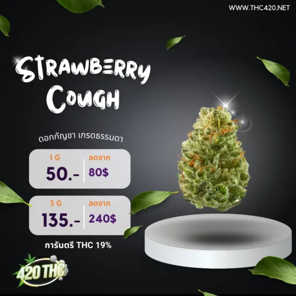 Strawberry Cough 3