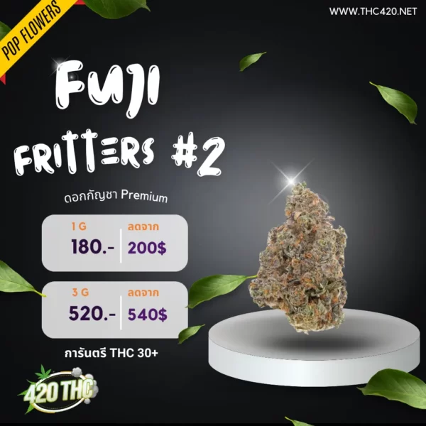 fuji fritters pop #2 3