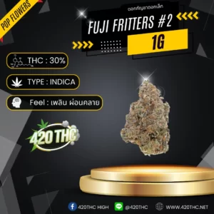 fuji fritters pop #2