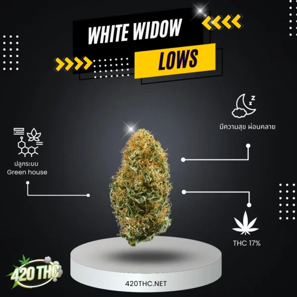 white widow 2