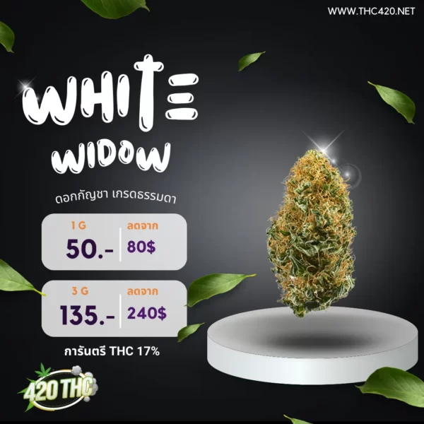 white widow 3