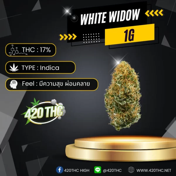 white widow