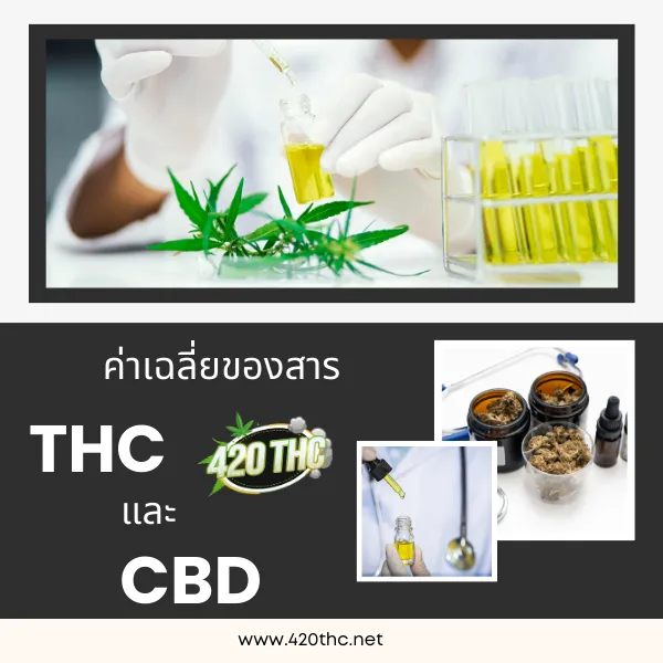 ค่าเฉลี่ยนด้วยประมาณของสาร THC และ CBD