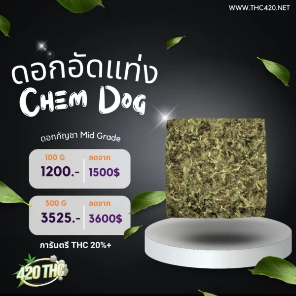 ดอกอัดแท่งPremium-Chem Dog 3