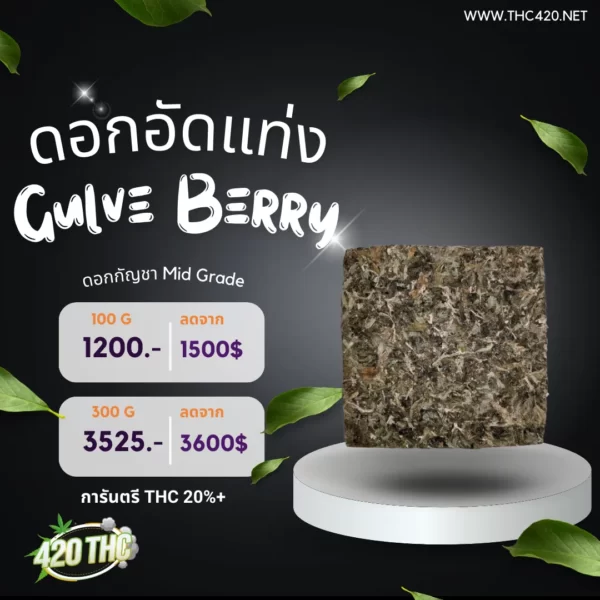 ดอกอัดแท่งPremium-Gulve Berry 3