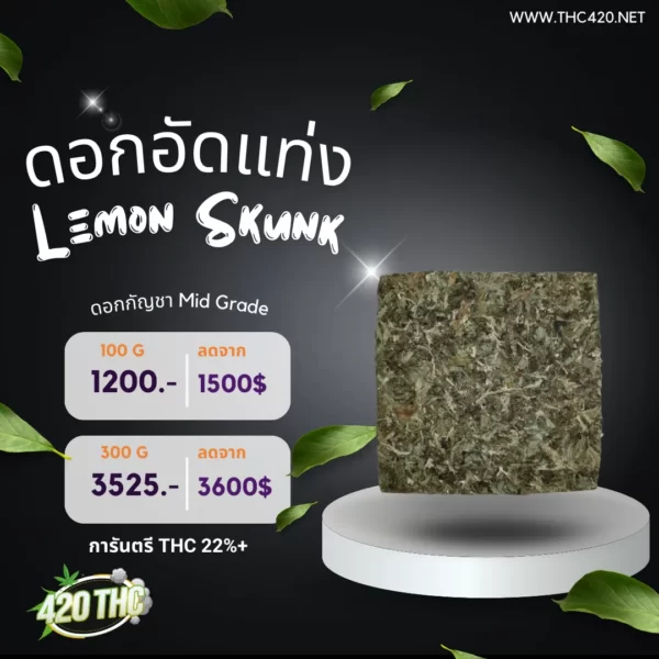 ดอกอัดแท่งPremium-Lemon Skunk 3