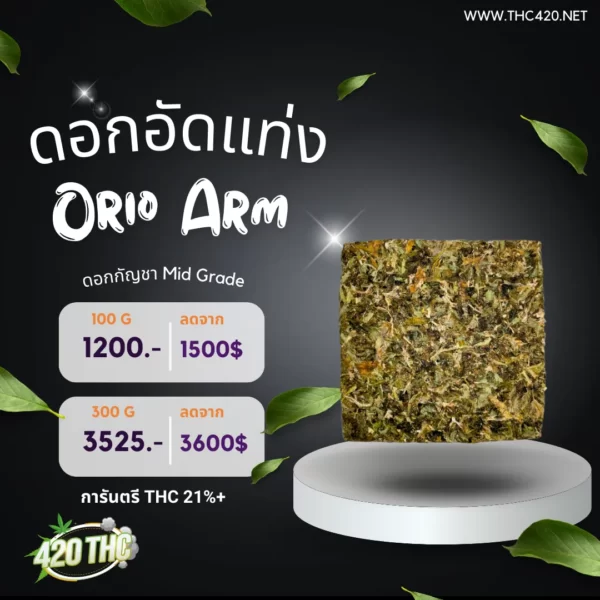 ดอกอัดแท่งPremium-Orio Arm 3