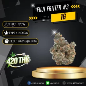Fuji Fritter #3