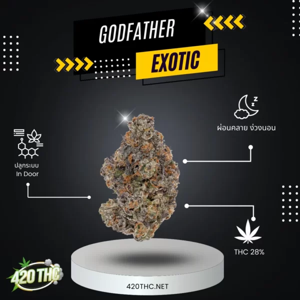 Godfather Exotic 2