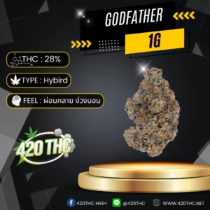 Godfather Exotic