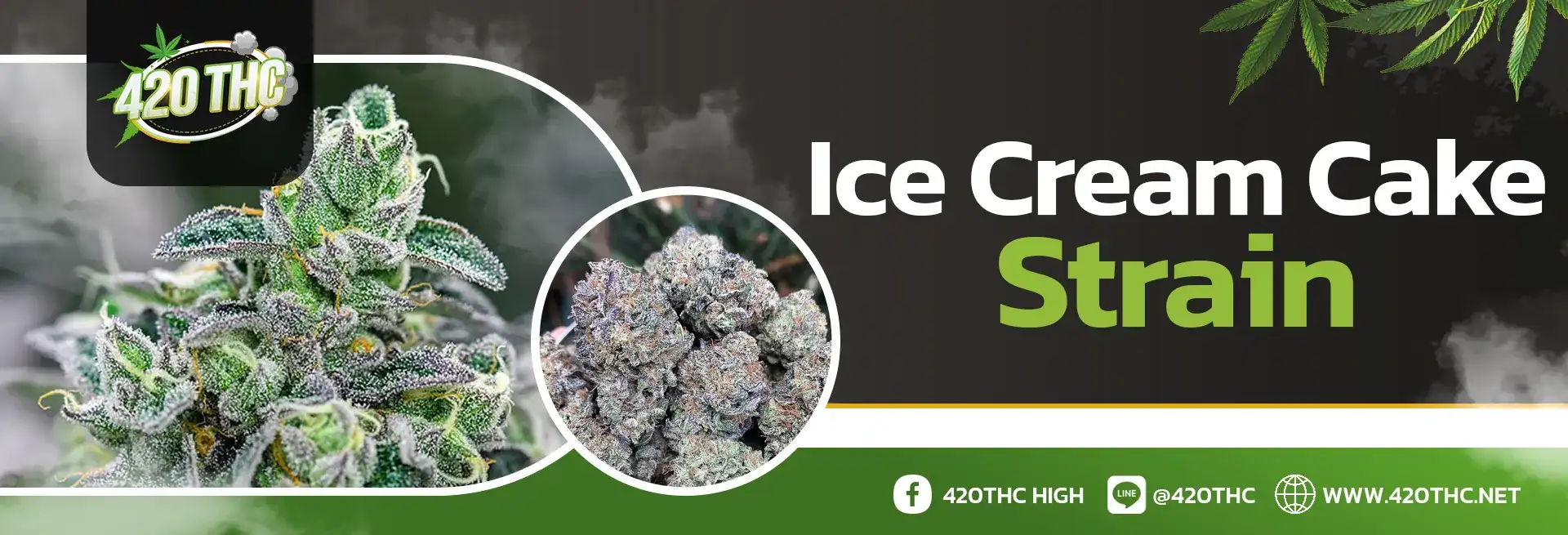 Ice cream cake strain PC