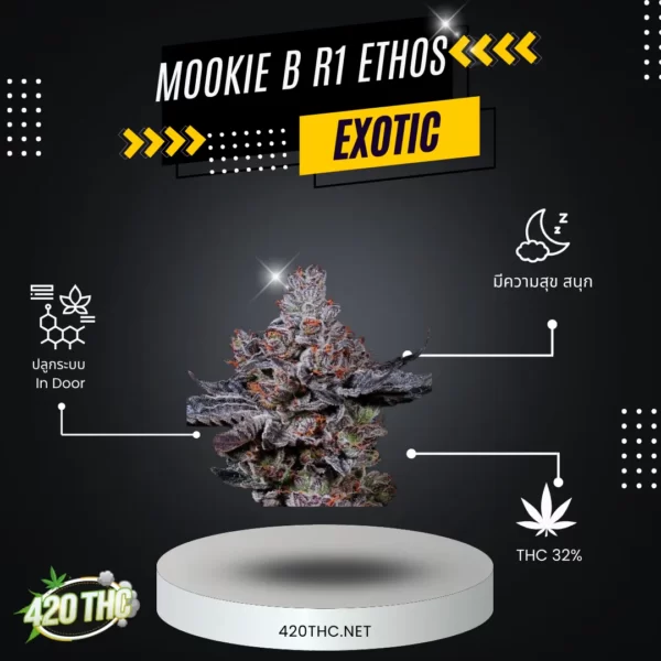 Mookie B R1 Ethos Exotic 2