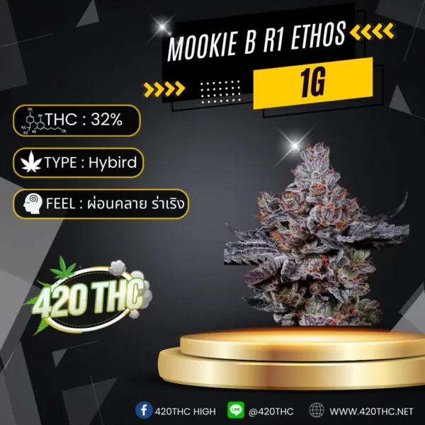 Mookie B R1 Ethos Exotic