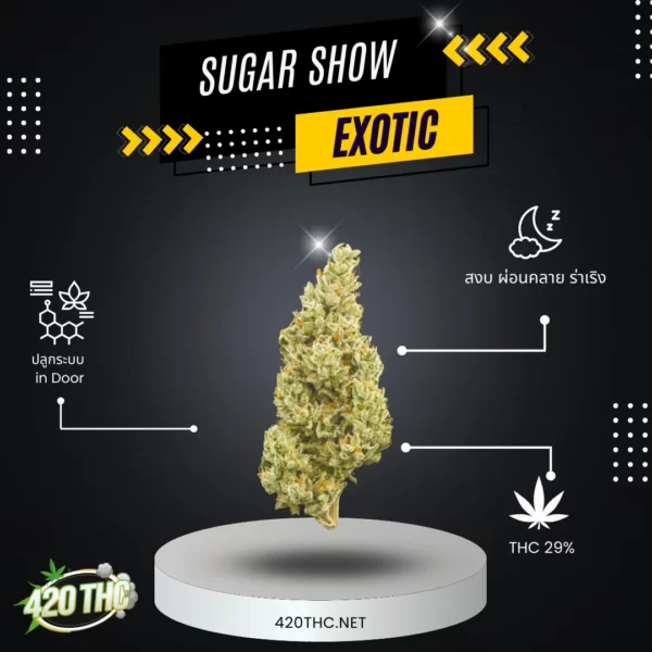 Sugar Show-Exotic 2