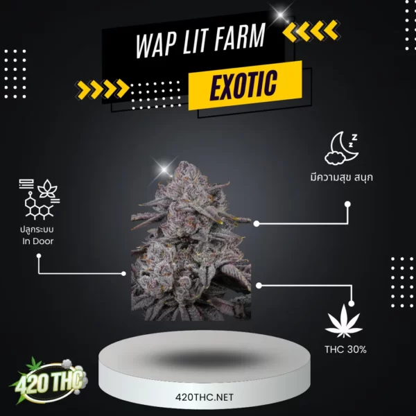 Wap Lit Farm Exotic 2