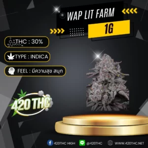 Wap Lit Farm Exotic