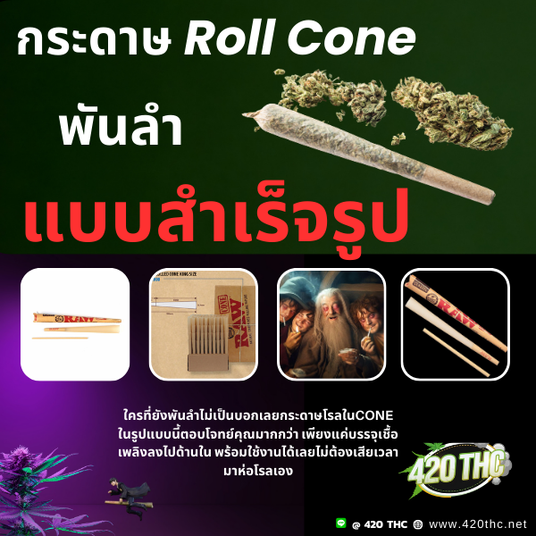 กระดาษ Roll Cone