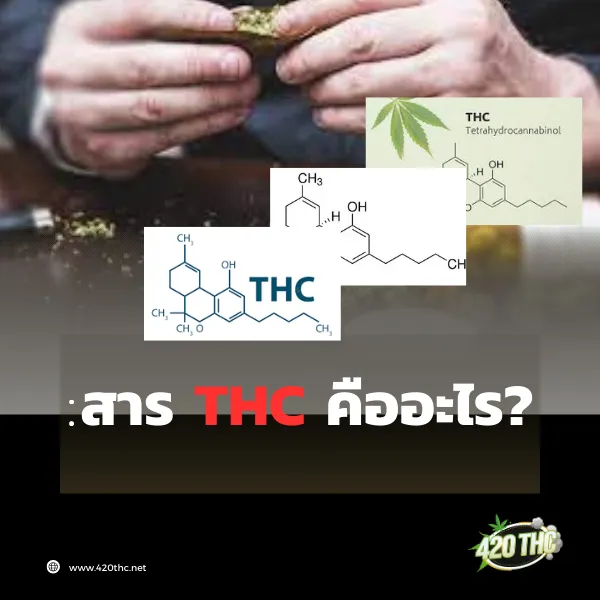 สาร THC คือ