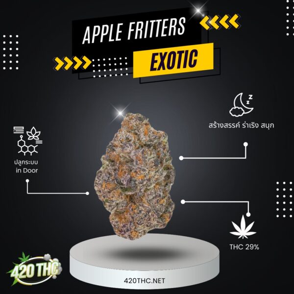 Apple Fritters-Exotic 2