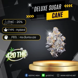 DELUXE SUGAR CANE