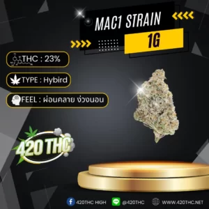 MAC1 STRAIN