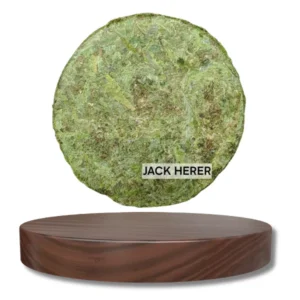 อัดแท่งกลม JACK HERER 100 G